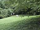 DSC00050.JPG